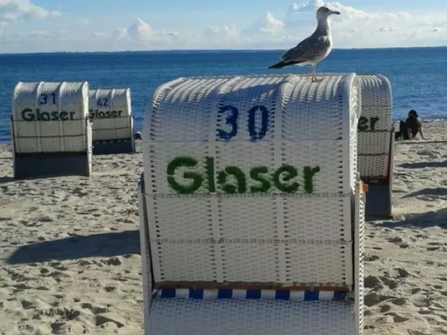 Strandkorb am Meer